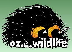 OZe Wildlife - Accommodation Gold Coast 0