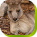 Calmsley Hill City Farm - Accommodation Gold Coast 0