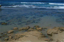 Canberra Contemporary Art Space - Accommodation Gold Coast 0