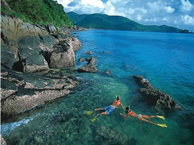 Llewellyn Dive Site - 1 Gold Coast 0