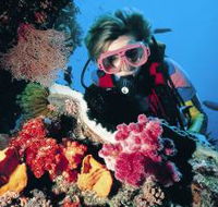 Gold Coast Seaway Dive Site - Accommodation Gold Coast