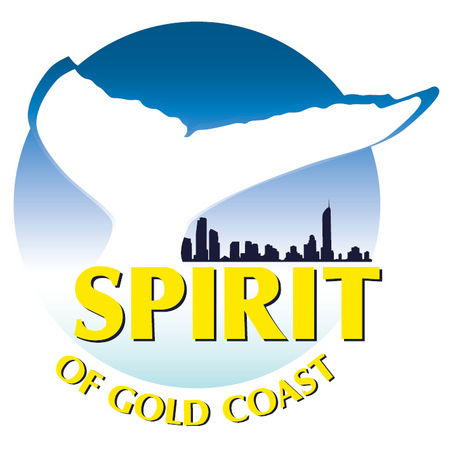 Spirit Of Gold Coast Whale Watching - Accommodation Gold Coast 0