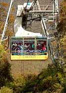 Scenic World Blue Mountains - Accommodation Gold Coast 1