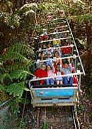 Scenic World Blue Mountains - Accommodation Gold Coast 2