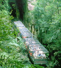 Scenic World Blue Mountains - Accommodation Gold Coast 3
