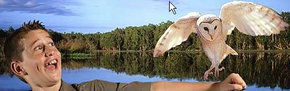 Territory Wildlife Park - Accommodation Gold Coast 2