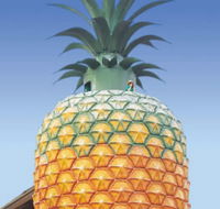 The Big Pineapple - Gold Coast 4U