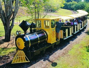 The Big Pineapple - Accommodation Gold Coast 1