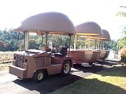 The Big Pineapple - Accommodation Gold Coast 2