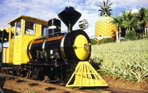 The Big Pineapple - Accommodation Gold Coast 3