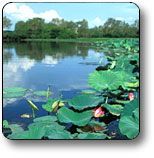 Kakadu National Park - Accommodation Gold Coast 3