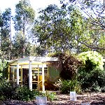 Koala Conservation Centre - Accommodation Gold Coast 1