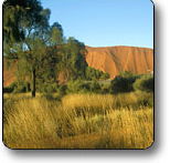 Uluru - Kata Tjuta National Park - Accommodation Gold Coast