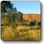 Uluru - Kata Tjuta National Park - Accommodation Gold Coast 0