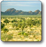 Uluru - Kata Tjuta National Park - Accommodation Gold Coast 2