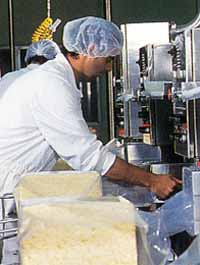Allansford Cheese World - Accommodation Gold Coast 1