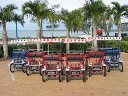 Beach Safaris - Accommodation Gold Coast 1