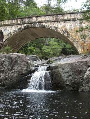 Kookaburra Tours - Accommodation Gold Coast 3