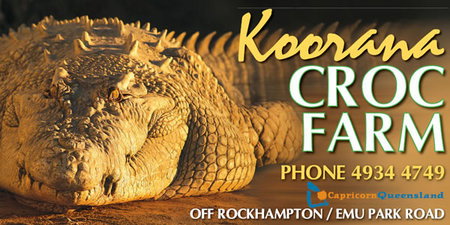 Koorana Saltwater Crocodile Farm - Accommodation Gold Coast 0