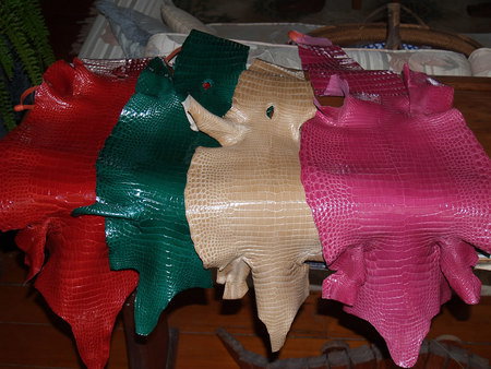 Koorana Saltwater Crocodile Farm - Accommodation Gold Coast 2