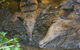 Rockhampton Zoo - thumb 1