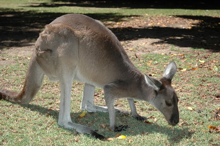 Bunbury Wildlife Park - Accommodation Gold Coast 1