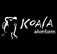 Koala Adventures - Accommodation Gold Coast