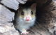Kyabram Fauna Park - thumb 3