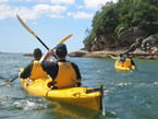 Sydney Harbour Kayaks - Gold Coast 4U 1