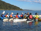 Sydney Harbour Kayaks - Gold Coast 4U 2