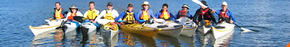 Sydney Harbour Kayaks - Gold Coast 4U 3