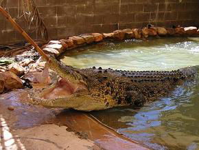 North West WA Accommodation Gold Coast