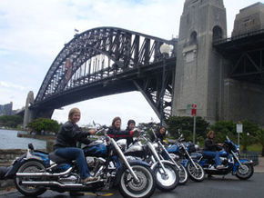 A Wild Ride - Accommodation Gold Coast 1