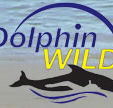 Dolphin Wild - Accommodation Gold Coast