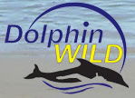 Dolphin Wild - Accommodation Gold Coast 0