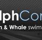 Dolphcom - Dolphin  Whale Swimming Adventures - Accommodation Gold Coast