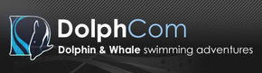 Dolphcom - Dolphin & Whale Swimming Adventures - 1 Gold Coast 0