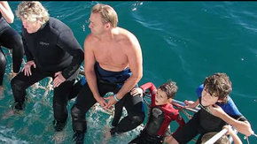 Dolphcom - Dolphin & Whale Swimming Adventures - 1 Gold Coast 2