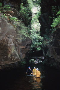 High And Wild Mountain Adventures - Accommodation Gold Coast 1