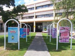 Cadbury Chocolate Factory Tour - Accommodation Gold Coast 2