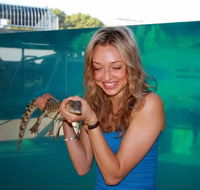 Crocosaurus Cove - Accommodation Gold Coast
