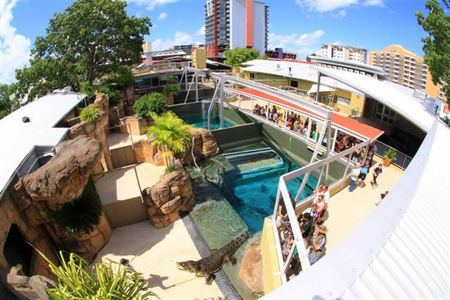 Crocosaurus Cove - Accommodation Gold Coast 1
