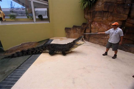 Crocosaurus Cove - Accommodation Gold Coast 2