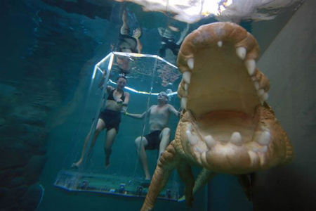 Crocosaurus Cove - Accommodation Gold Coast 3