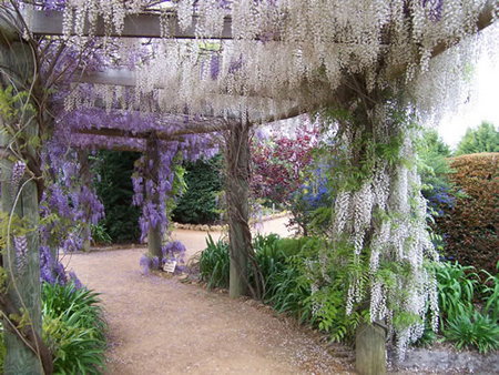 Barragup WA Accommodation Gold Coast