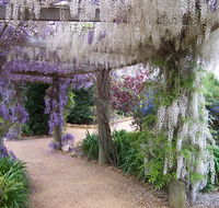 Abingdon Miniature Village - Accommodation Gold Coast