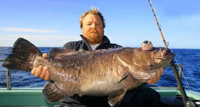 Bravo Fishing Charters - Accommodation Gold Coast 0