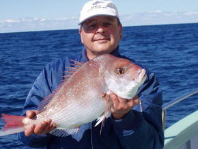 Bravo Fishing Charters - Accommodation Gold Coast 3