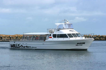 Mills Charters Fishing And Whale Watch Cruises - Accommodation Gold Coast 1