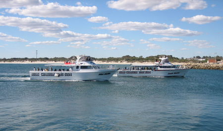 Mills Charters Fishing And Whale Watch Cruises - Accommodation Gold Coast 2
